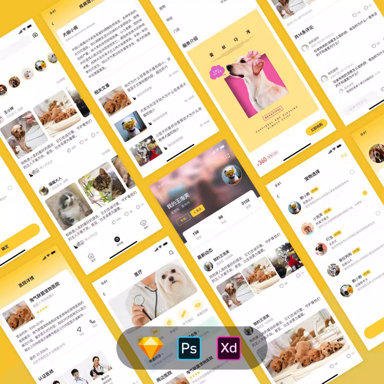 源码部署/搭建宠物社交APP